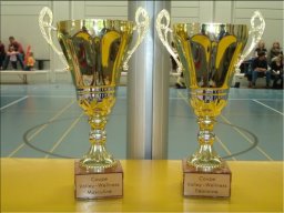 2006 - En aparté des finales de la Coupe