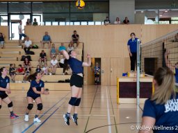 2026-coupe-dames